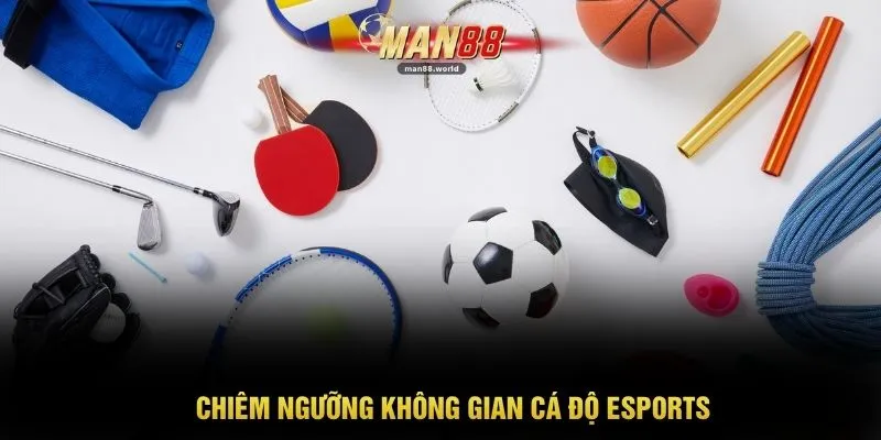 Chiêm ngưỡng không gian cá độ Esports