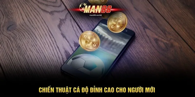 Chiến thuật cá độ đỉnh cao cho người mới