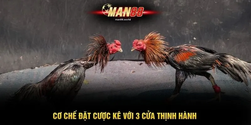 Cơ chế đặt cược kê với 3 cửa thịnh hành