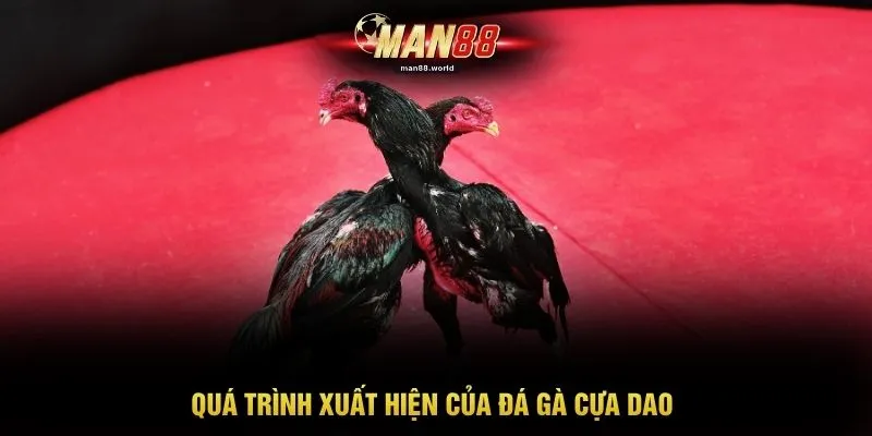Quá trình xuất hiện của đá gà cựa dao