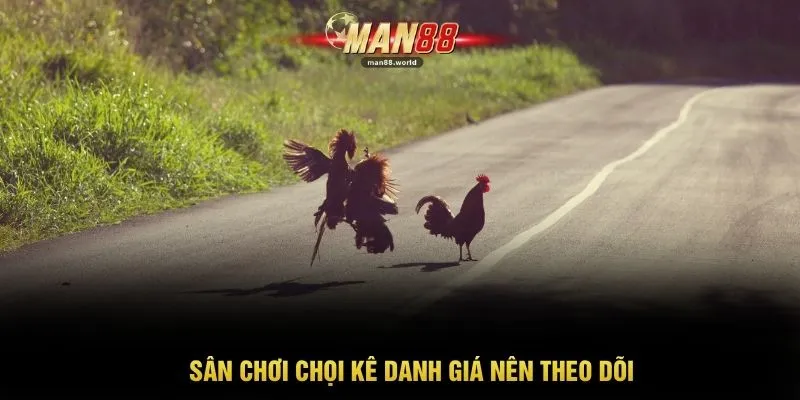 Sân chơi chọi kê danh giá nên theo dõi