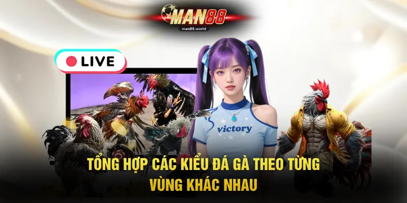 Tổng hợp các kiểu đá gà theo từng vùng khác nhau