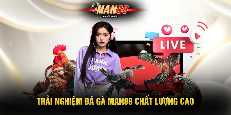 Trải nghiệm đá gà MAN88 chất lượng cao