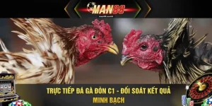 Trực Tiếp Đá Gà Đòn C1 - Đối Soát Kết Quả Minh Bạch