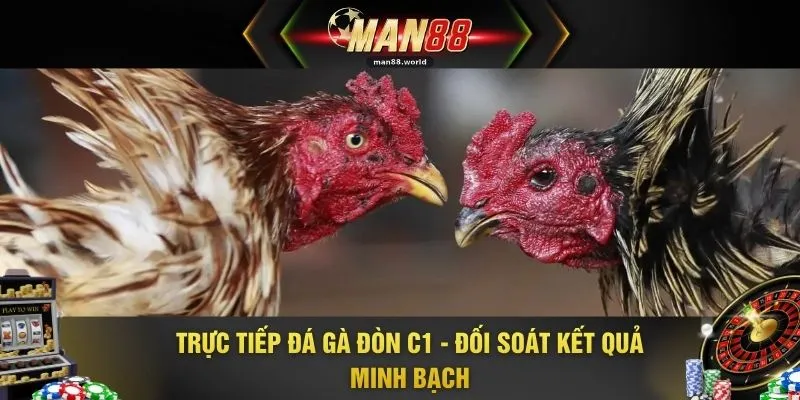 Trực Tiếp Đá Gà Đòn C1 - Đối Soát Kết Quả Minh Bạch